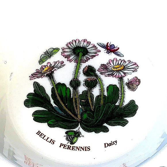 BOTANIC GARDEN BY PORTMEIRION CEREAL OATMEAL BOWL DAISY NEW ENGLAND - Picture 2 of 7